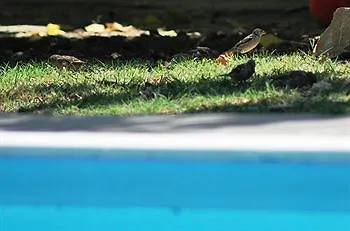 Mursel Pansiyon Garden Hotel Kusadası